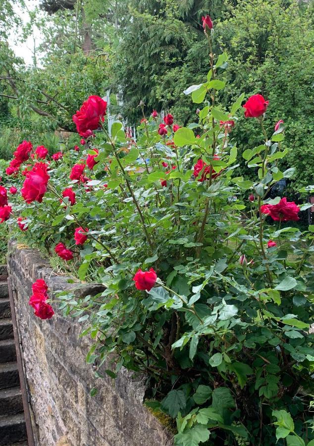 Ellen House Bed And Breakfast Matlock  Exterior foto