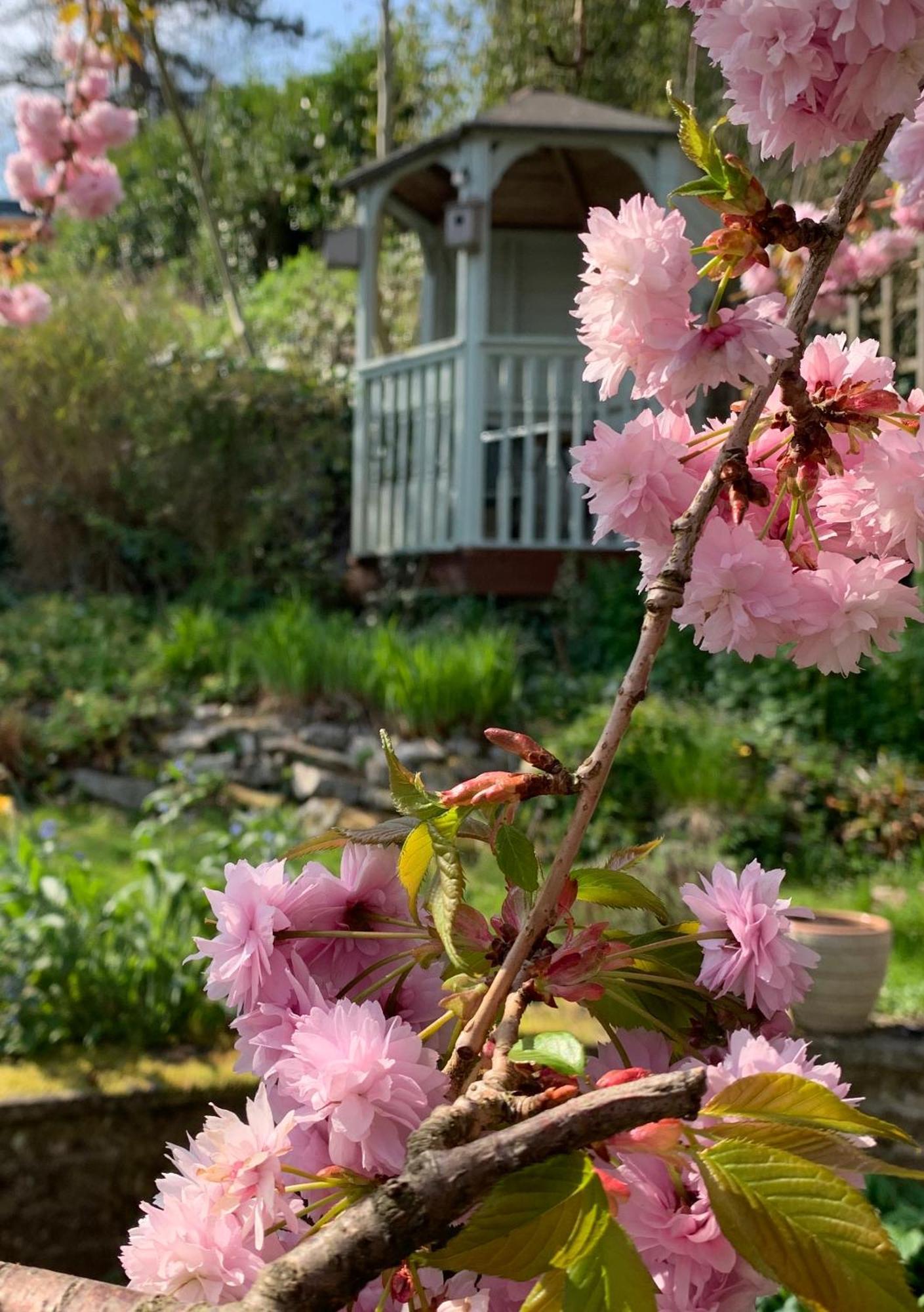 Ellen House Bed And Breakfast Matlock  Exterior foto