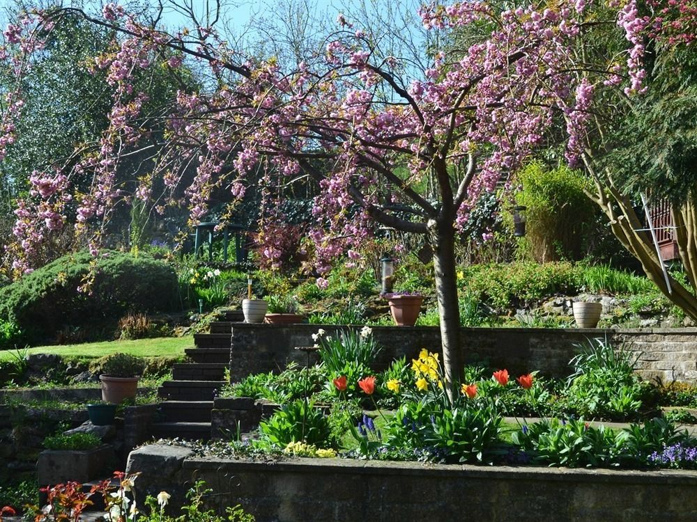 Ellen House Bed And Breakfast Matlock  Exterior foto