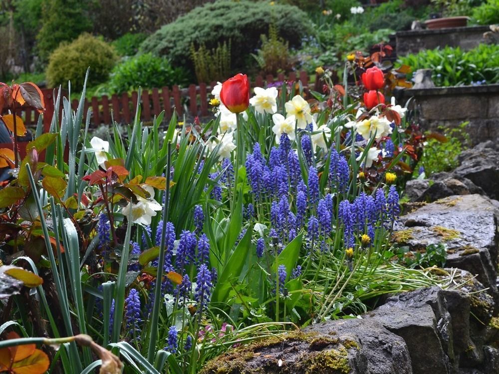 Ellen House Bed And Breakfast Matlock  Exterior foto